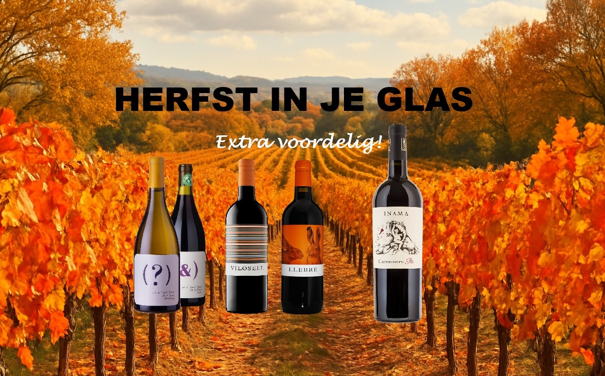 Blog afbeelding